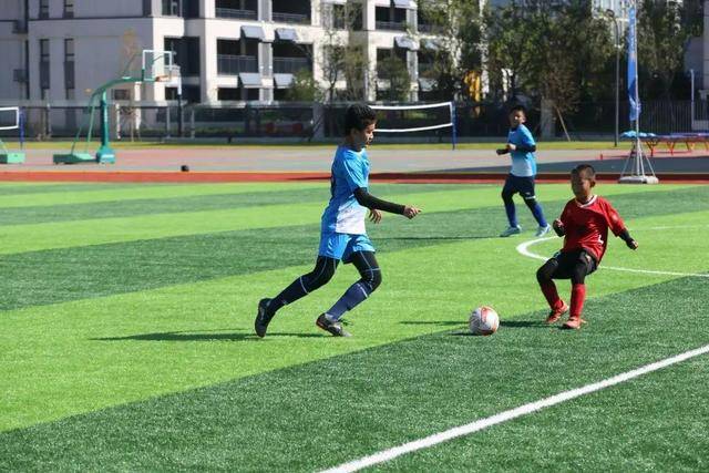 贝弗利加盟以色列联赛球队 拒绝火箭活塞合同